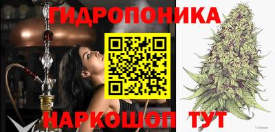 скорость Кудрово